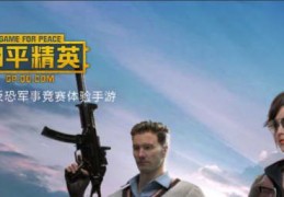 什么手游可以玩和平精英，什么手游可以玩和平精英国际服