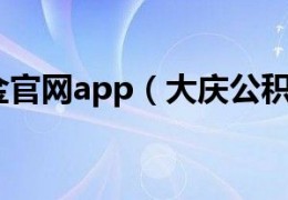 大庆公积金官方版游戏下载，安卓苹果ios版本下载