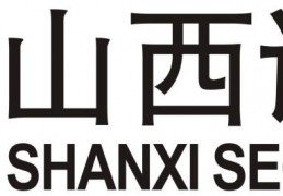 山西证券股票交易软件下载，山西证券股票交易软件免收费下载安装