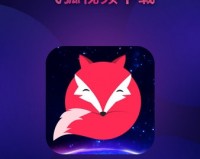 飞狐视频下载器去水印版下载，飞狐视频下载器去水印版免收费下载安装