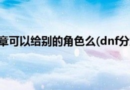 dnf徽章可以打在时装么_dnf时装一个部位可以打几个徽章