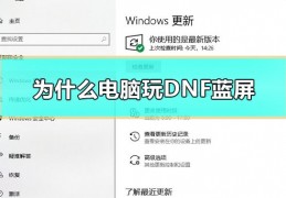 dnf使用奇缘辅助蓝屏_为什么w10用辅助总是蓝屏