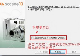 acdsee10免费版下载，acdsee10免费版免收费下载安装