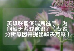 为啥lol手游没人玩打野，为啥lol手游没人玩打野了