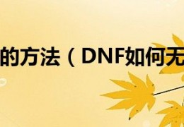 dnf无限疲劳_dnf无限疲劳科技
